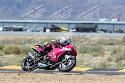 media/Apr-07-2024-CVMA (Sun) [[53b4d90ad0]]/Race 11 500 Supersport-350 Supersport/